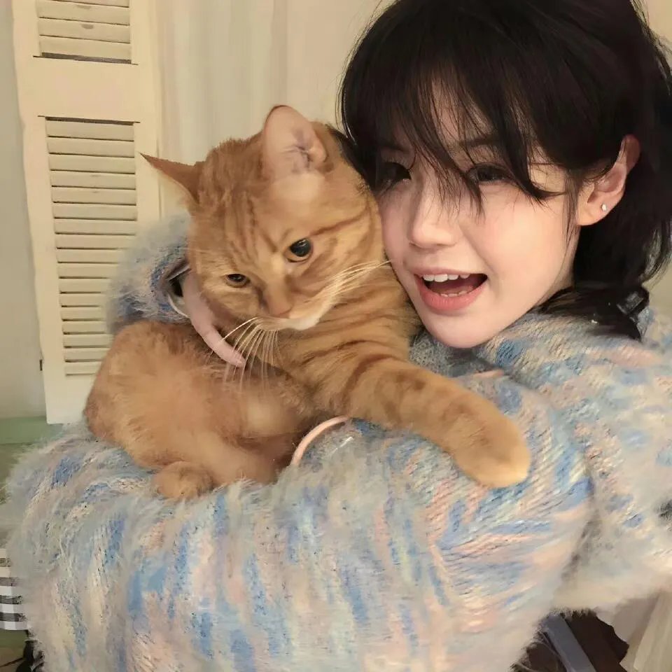 嘻哈四重奏第一季